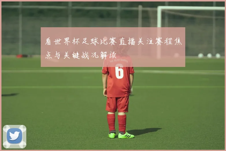 看世界杯足球比赛直播关注赛程焦点与关键战况解读