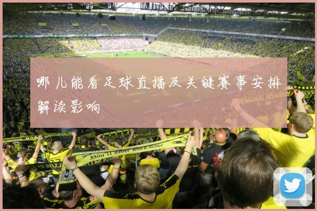 哪儿能看足球直播及关键赛事安排解读影响