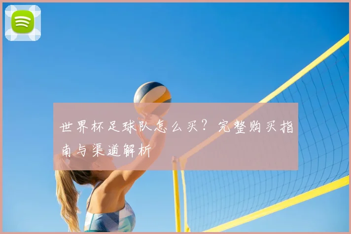 世界杯足球队怎么买？完整购买指南与渠道解析
