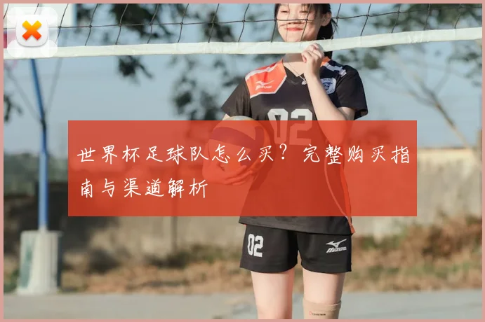 世界杯足球队怎么买？完整购买指南与渠道解析