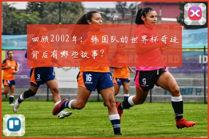 回顾2002年：韩国队的世界杯奇迹背后有哪些故事？