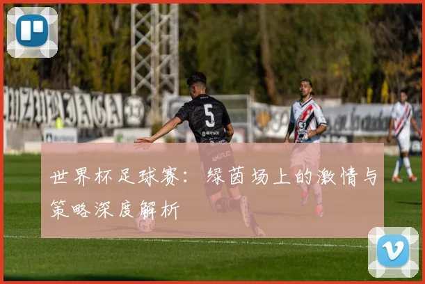 世界杯足球赛：绿茵场上的激情与策略深度解析