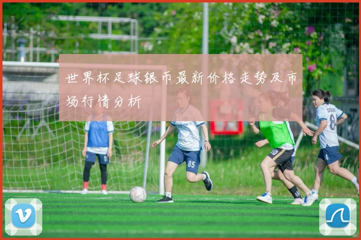 世界杯足球银币最新价格走势及市场行情分析