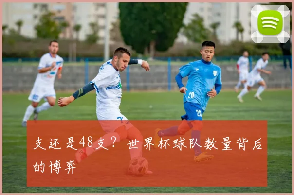 支还是48支？世界杯球队数量背后的博弈